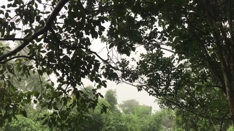 Rain on the Hill Stock Footage 251728655