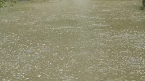 Rain in Himalayas during monsoon Stock Footage 110829203