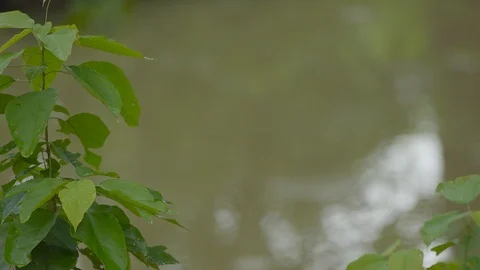 Rain in Himalayas Stock Footage 110828768