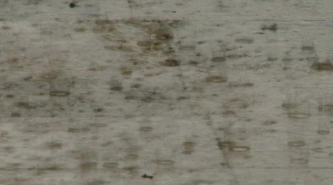 Rain hits ground Video stock 526616