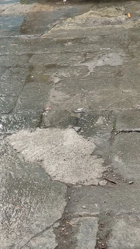 Rain hits the ground 스톡 동영상 236674857