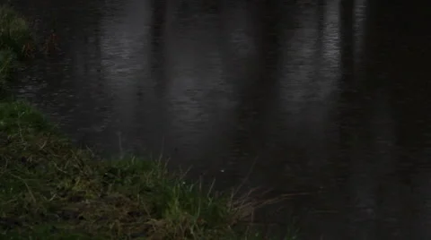 Rain hits water Stock Footage 40660080