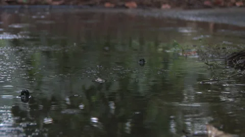 Rain Hitting Concrete CU 2 스톡 동영상 27444522