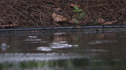 Rain Hitting Concrete Pull 스톡 동영상 27453768