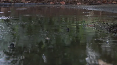 Rain Hitting Concrete Rack 스톡 동영상 27452285