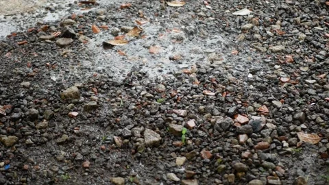 Rain hitting ground Stock Footage 258203727