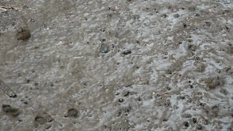 Rain Hitting The Ground - Myanmar Stock Footage 107219598