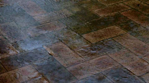 Rain hitting a paved brick path Stock Footage 91495082