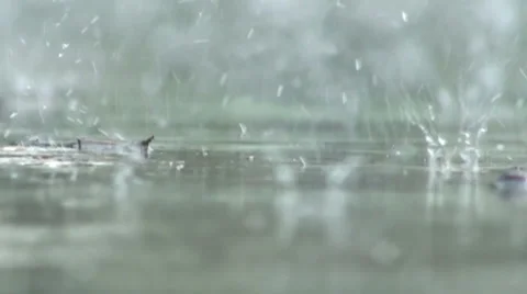 Rain hitting pavement Vidéo 1002020