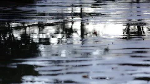 Rain Hitting the Pavement Stock Footage 49548144