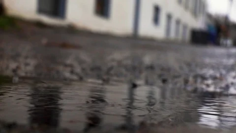 Rain Hitting Puddle 動画素材 99558510