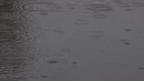Rain hitting a puddle video Stock-Footage 247286906