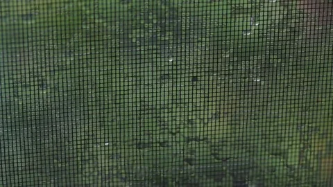 Rain hitting screen window Stock Footage 75763775