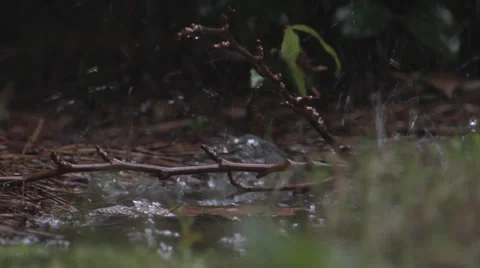 Rain Hitting Water CU 1 스톡 동영상 27454550