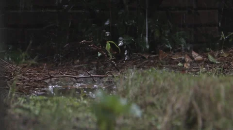 Rain Hitting Water Med 스톡 동영상 27442465