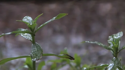 Rain Hitting Water XCU Rack 스톡 동영상 27447894