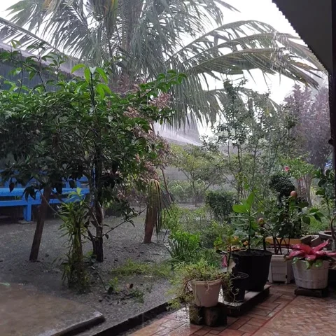 Rain at home Stock Footage 232797071