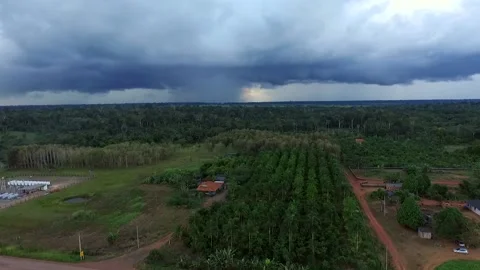 Rain on the horizon. Amazon forest Stock Footage 130968723