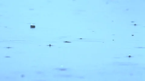 Rain in Hungary Stock Footage 66429714