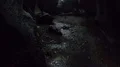 Rain inside a wet dark narrow gorge between tropic jungle mountain rocks in Bali 4k or 4k+ Resolution
