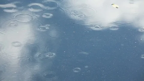 Rain intensifies on a puddle of water with reflections Stock Footage 80590306
