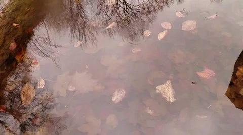 Rain is knocking at the puddles in the moat of the castle Stock Footage 36272844