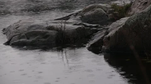 Rain on lake and puddle Stock Footage 44212081