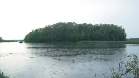 Rain on lake Stock Footage 114183386