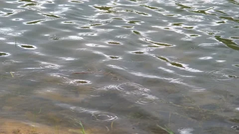 Rain on the lake Stock Footage 219087963