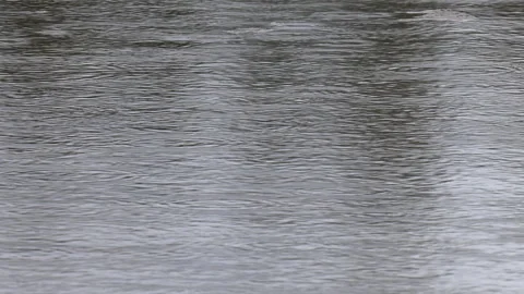 Rain on a lake Vídeo Stock 345939495