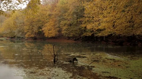 Rain, Lake, Landscape Stock Footage 43259095