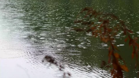 Rain lake surface cold weather Stock-Footage 256242413