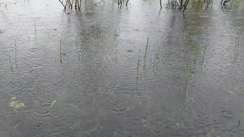 Rain on the lake surface Stock Footage 167481042