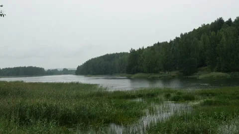 Rain on the lake surrounded by forest Stock Footage 159119189