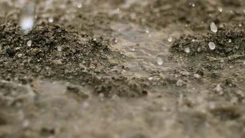 Rain on land Stock Footage 161468515