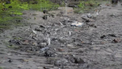 Rain on the Land Stock Footage 237157164