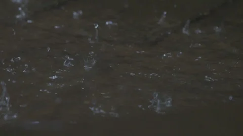 Rain landing in a puddle Stock Footage 116562520