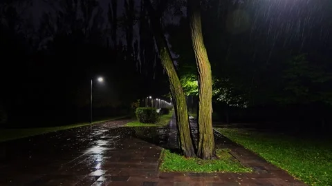 Rain lashes the evening park under fading light Vídeo Stock 319545471