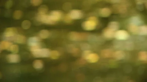 Rain on a leafy pond Video stock 36477827