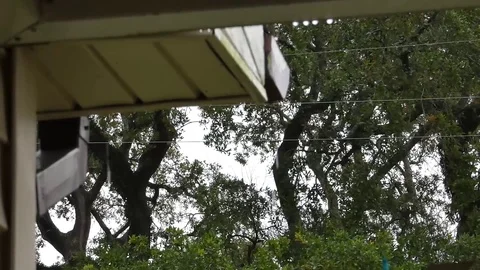 Rain looking out under eave 1080 60p Stock Footage 120808586
