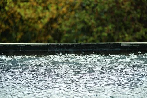 Rain is makes circles on a black flat roof with trees in the background Stock Photos