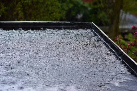 Rain makes circles on a black flat roof with trees in the background Stock Photos