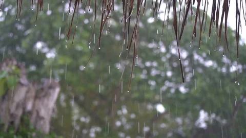 Rain maldives mp4 스톡 동영상 107552253