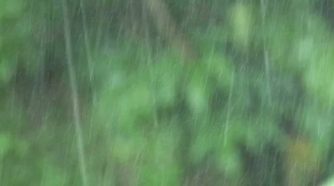 Rain with Mist Stock Footage