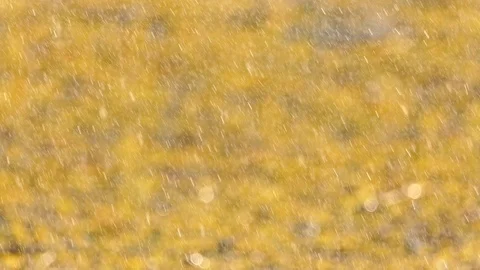 Rain mist on nature background Stock Footage 108675104