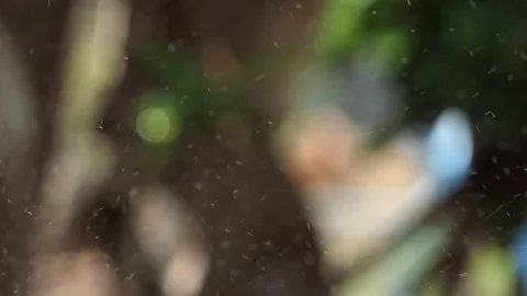 Rain mist In Slow Motion On nature background 스톡 동영상 106018932