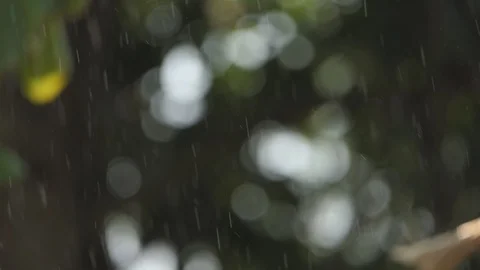 Rain mist In Slow Motion On nature background 스톡 동영상 106019786