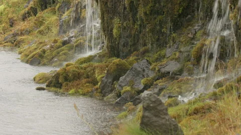 Rain Moss Water Angle Stock Footage 166966882