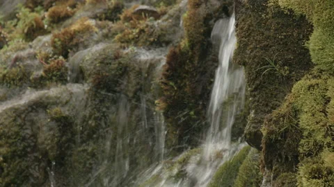 Rain Moss Water CU Angle Stock Footage 166967365
