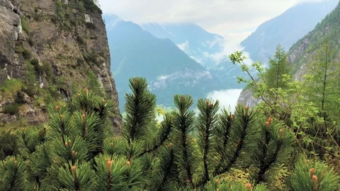 Rain in mountains with clouds moving over forest Stock Footage 95117410